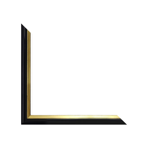53 cm frame size